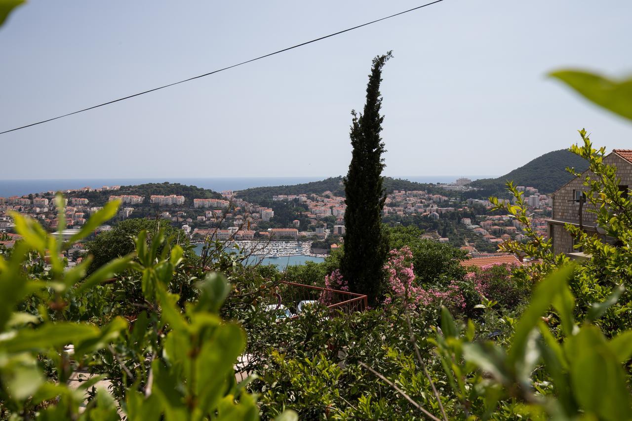 Semi * Dubrovnik